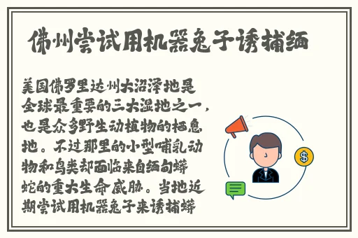 国语自产精品视频在线区
